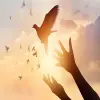 可持续采购政策